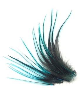 Bleu électrique ligne - Plumes courtes pour cheveux