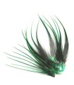 Vert aquatique ligne - Plumes courtes pour cheveux
