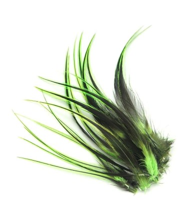 Vert très dynamique, quasiment fluo
Plumes naturelles à fixer dans les cheveux comme extensions
de longueurs comprises entre 8 e