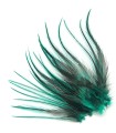 Vert velours ligne - Plumes courtes pour cheveux