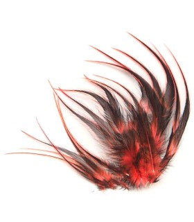 Corail fluo ligne - Plumes courtes pour cheveux