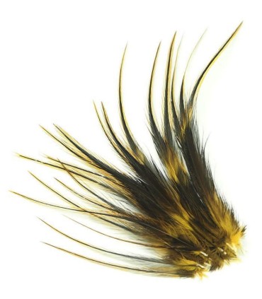 Un brun aux reflets dorés, qui pourrait s'appeler miel-moutarde
Plumes naturelles à fixer dans les cheveux comme extensions
de l