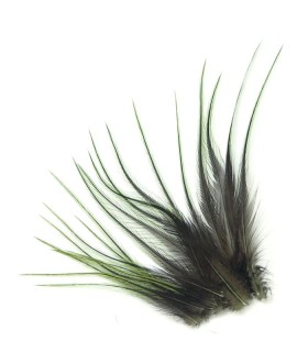 Olive ligne - Plumes courtes pour cheveux