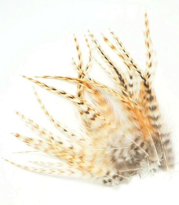 Noir profond ayant une très belle brillance
Plumes naturelles à fixer dans les cheveux comme extensions
de longueurs comprises e