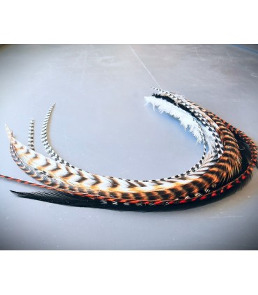 Plumes pour cheveux - minipack Rock Creek