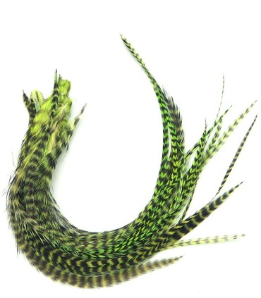 Vert flashy rayé - plumes pour cheveux