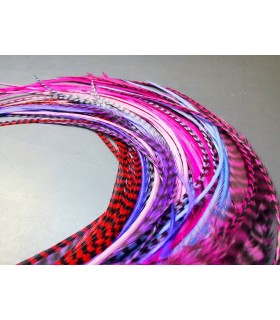 Lot de plumes pour cheveux - gamme Rose - Violet - Rouge