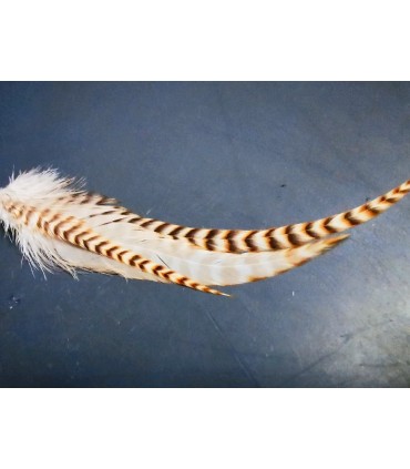 Boucle d'oreille unique en plumes naturelles