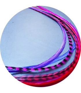 Plumes à fixer dans les cheveux comme des extensions - mini-pack Charme fushia