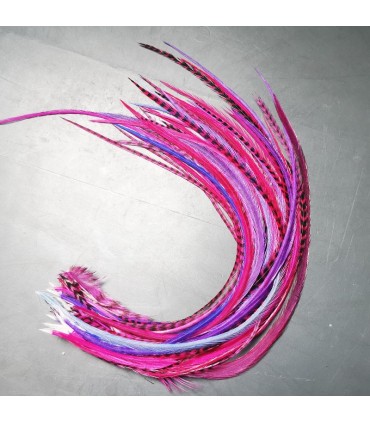 Lot de plumes naturelles à fixer dans les cheveux comme des extensions - mix coloris rose violet