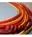 Melting Lot 50 plumes pour cheveux - Sunset