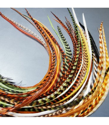 Lot de plumes naturelles à fixer dans les cheveux comme des extensions - mix coloris tons Nature et Naturelles non teintées