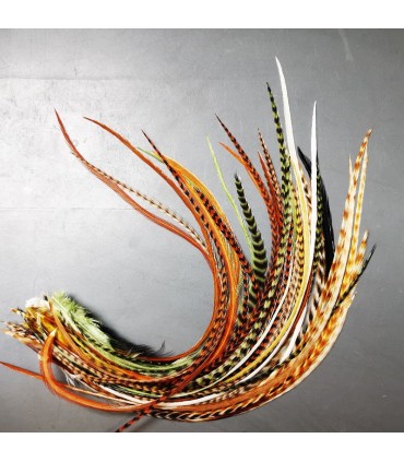 Lot de plumes naturelles à fixer dans les cheveux comme des extensions - mix coloris tons Nature et Naturelles non teintées