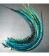 Lot de plumes naturelles à fixer dans les cheveux comme des extensions - mix coloris Bleu et Vert