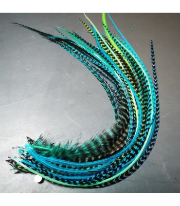 Lot de plumes naturelles à fixer dans les cheveux comme des extensions - mix coloris Bleu et Vert