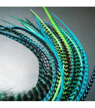 Lot de plumes naturelles à fixer dans les cheveux comme des extensions - mix coloris Bleu et Vert
