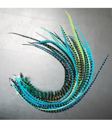 Lot de plumes naturelles à fixer dans les cheveux comme des extensions - mix coloris Bleu et Vert