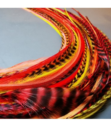 Lot de plumes naturelles à fixer dans les cheveux comme des extensions - mix coloris Sunset