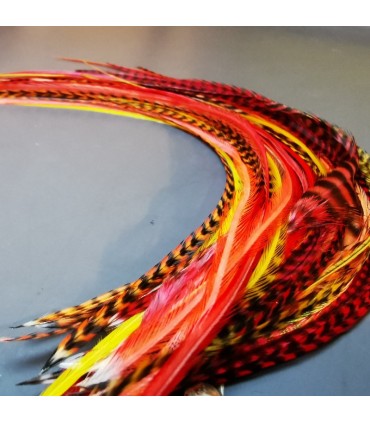 Lot de plumes naturelles à fixer dans les cheveux comme des extensions - mix coloris Sunset