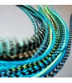 Melting Lot 100 plumes pour cheveux - Bleu - Vert