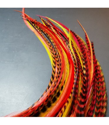 Lot de plumes naturelles à fixer dans les cheveux comme des extensions - mix coloris Sunset