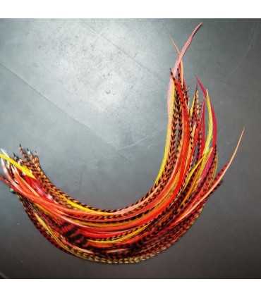 Lot de plumes naturelles à fixer dans les cheveux comme des extensions - mix coloris Sunset