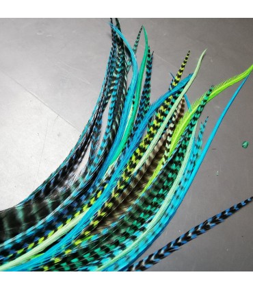 Lot de plumes naturelles à fixer dans les cheveux comme des extensions - mix coloris Bleu et Vert