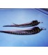 Boucles d'oreilles - collection Quid