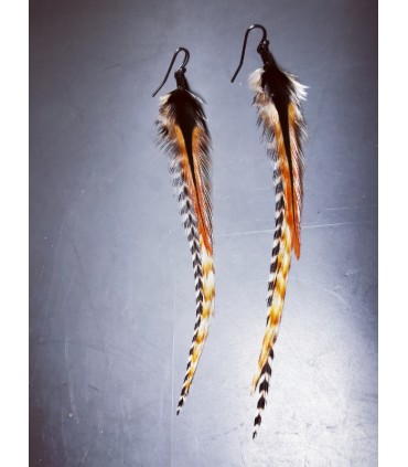 Boucles d'oreilles - collection Ethologos