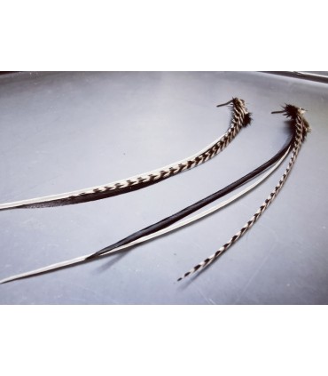 Boucles d'oreilles - collection Binary
