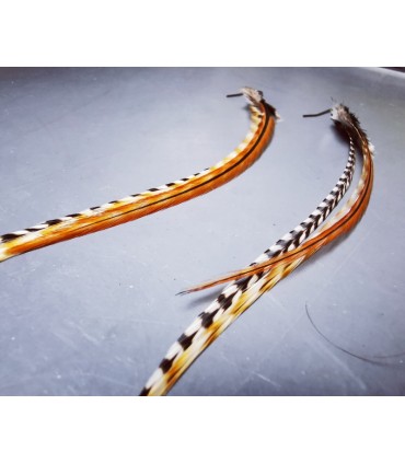 Boucles d'oreilles - collection Ethologos