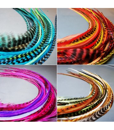 Lot de plumes naturelles à fixer dans les cheveux comme des extensions - mix coloris