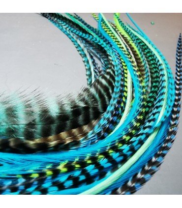 Lot de plumes naturelles à fixer dans les cheveux comme des extensions - gamme Bleu-Vert