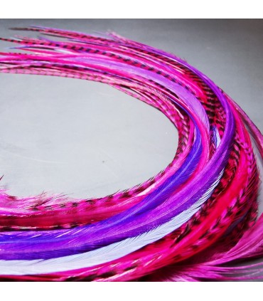 Lot de plumes naturelles à fixer dans les cheveux comme des extensions - gamme Rose-Violet