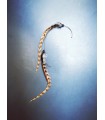 Mèche Bohême pour cheveux en plumes naturelles - taille S
