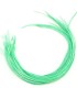 Plume pour cheveux - Vert aquatique