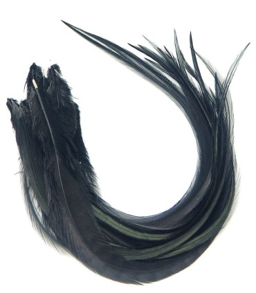 Plume pour cheveux - Noir