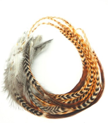 Plume pour cheveux - Apache naturel