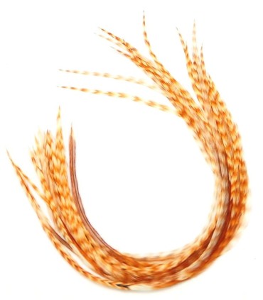 Plume pour cheveux - Apache naturel