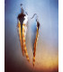 Boucles d'oreilles - collection Ethologos