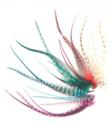 Dans ce lot :
20 plumes courtes (choisissez la composition du pack ci-dessous)
20 anneaux de fixation toutes couleurs (blond 5%,