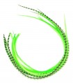 Plume pour cheveux - Vert flashy