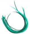 Plume pour cheveux - Vert velours