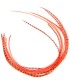 Corail fluo
