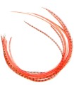 Plume pour cheveux - Corail fluo