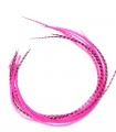 Plume pour cheveux - Rose flashy