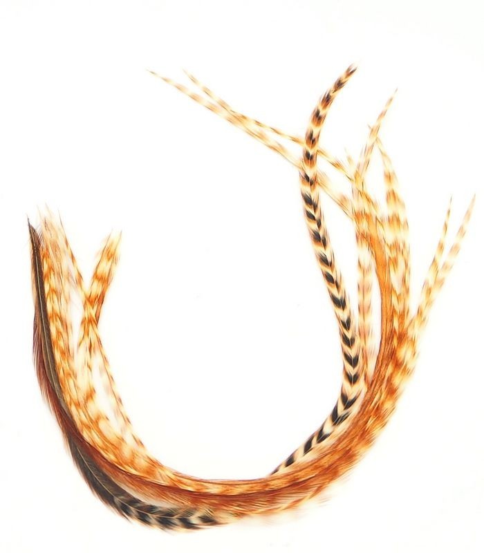 Plume pour cheveux - Apache naturel