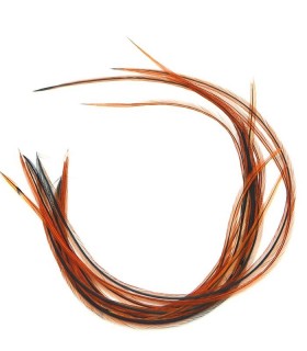 Plume pour cheveux - Sioux naturel