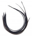 Plume pour cheveux - Noir