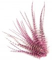 Plume courte pour cheveux - Rose tendre